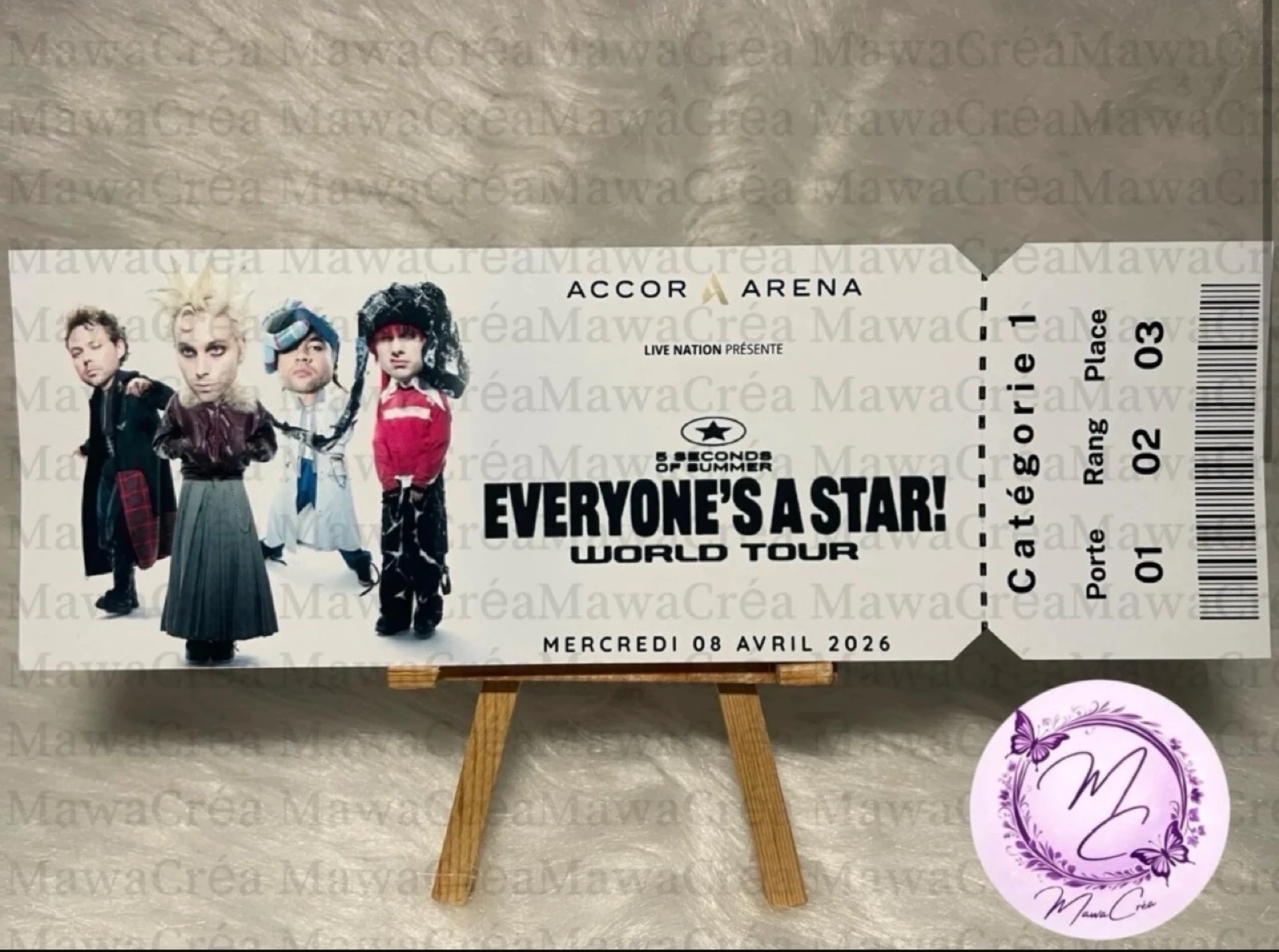 Ticket souvenir 5 Seconds Of Summer 